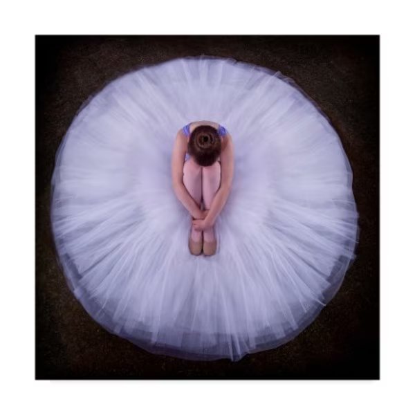 Pauline Pentony Ma 'Young Ballerina' Canvas Art, 24x24, Trademark Fine Art, Mfr#: 1X07640-C2424GG